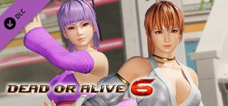 Buy DOA6 Season Pass 3 for Steam PC