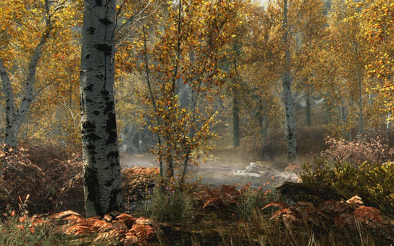 The Elder Scrolls V: Skyrim Special Edition