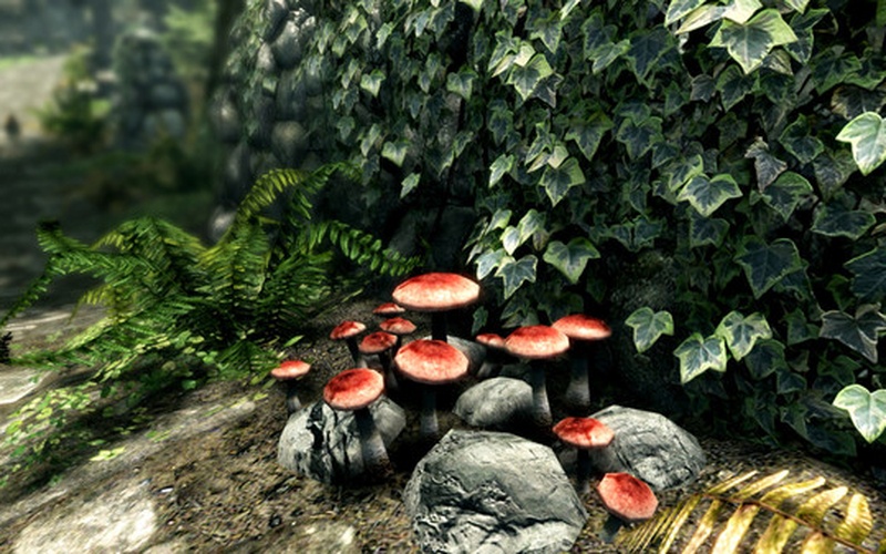 The Elder Scrolls V: Skyrim Special Edition