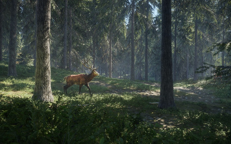theHunter: Call of the Wild EUROPE