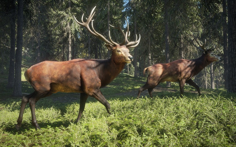 theHunter: Call of the Wild EUROPE