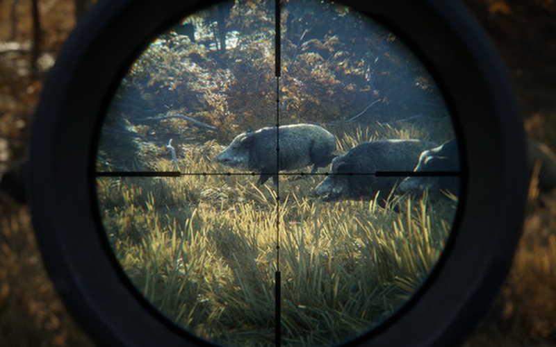 theHunter: Call of the Wild EUROPE