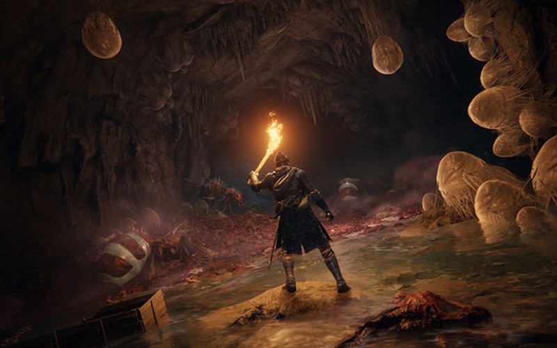 ELDEN RING Deluxe Edition NA