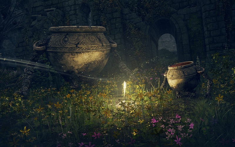 ELDEN RING Deluxe Edition NA