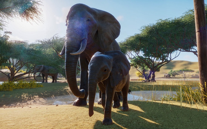 Planet Zoo