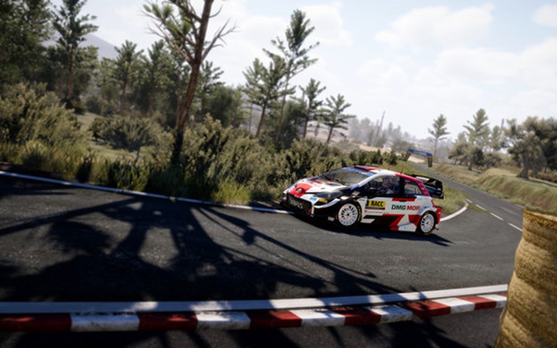 WRC 10 FIA World Rally Championship