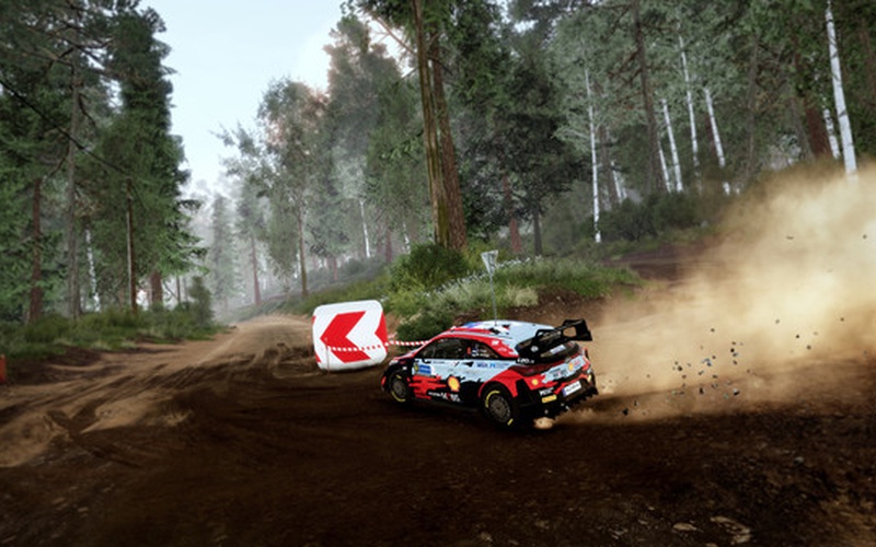 WRC 10 FIA World Rally Championship